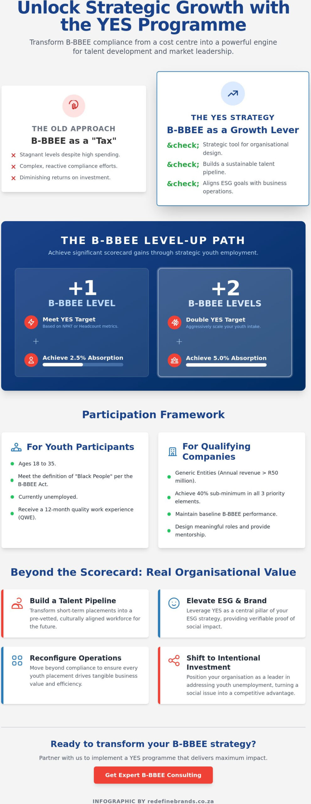 The Strategic Architecture of the YES Program: A Guide for South African Executives